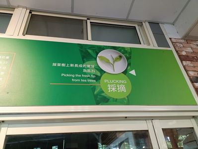 IMG20241029144551