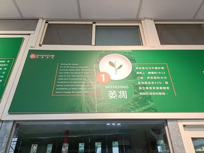 IMG20241029144555