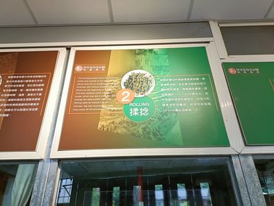 IMG20241029144600