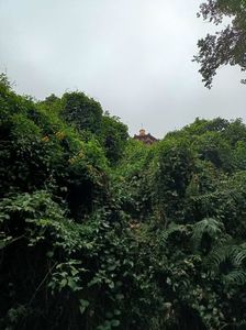 IMG20241029163751