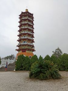 IMG20241029164802