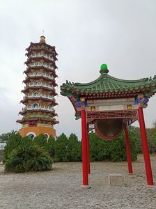 IMG20241029164820