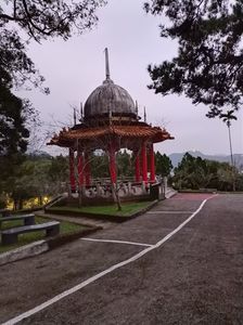 IMG20241029173613