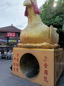 IMG20241030144149