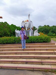 IMG20241030170614