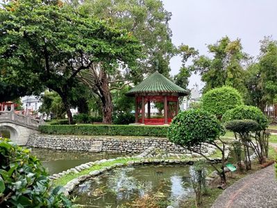 IMG20241031131212