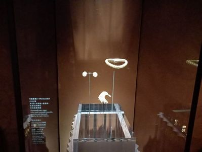 IMG20241102105820