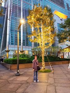 IMG20241102171650