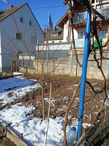 Img.2024.01.20