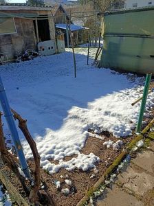 Img.2024.01.20