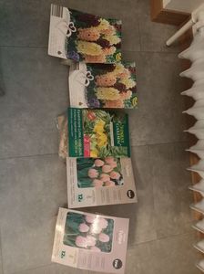 Img.2024.09.27; Din kaufland t-veni
