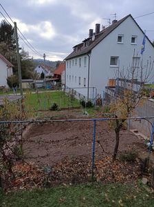 Img.2024.11.02