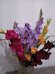 Img.2024.11.02