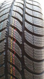 IMG-20241104-WA0011