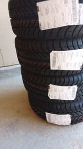 IMG-20241104-WA0009