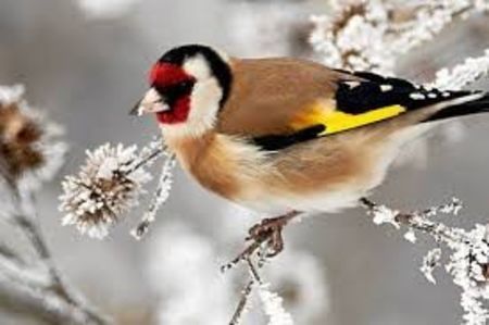 images (2)