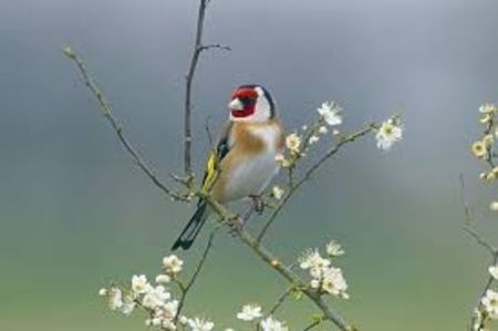 images (9)