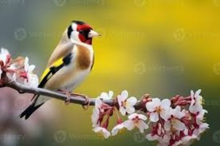 images (38)