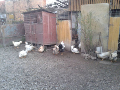 MATCĂ 1/ 2024; ‎luni, ‎18 ‎decembrie ‎2023
