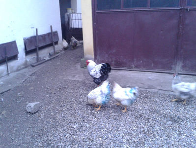 ‎vineri, ‎1 ‎martie ‎2024, ‏‎17:51:53