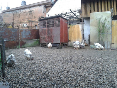 martie ‎2024; martie ‎2024
