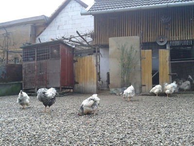 martie ‎2024; martie ‎2024
