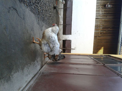 ‎luni, ‎25 ‎martie ‎2024, ‏‎16:56:40