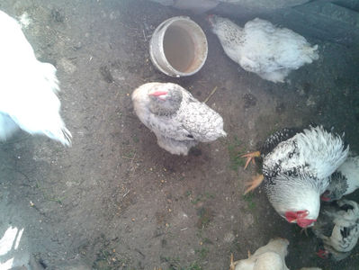 MATCĂ 1/ 2024; ‎sâmbătă, ‎30 ‎martie ‎2024
