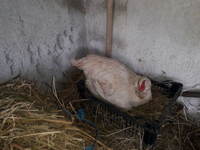 ‎luni, ‎1 ‎aprilie ‎2024, ‏‎16:35:01; ‎luni, ‎1 ‎aprilie ‎2024, ‏‎16:35:01
