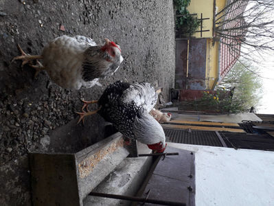 ‎marți, ‎2 ‎aprilie ‎2024, ‏‎12:15:16