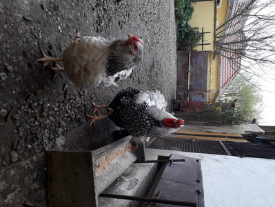 ‎marți, ‎2 ‎aprilie ‎2024, ‏‎12:15:19; ‎marți, ‎2 ‎aprilie ‎2024, ‏‎12:15:19
