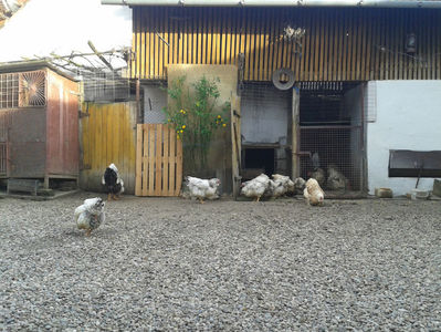 ‎vineri, ‎5 ‎aprilie ‎2024, ‏‎18:26:52; ‎vineri, ‎5 ‎aprilie ‎2024, ‏‎18:26:52
