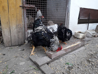 ‎duminică, ‎21 ‎aprilie ‎2024, ‏‎18:11:39