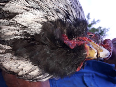 ‎duminică, ‎21 ‎aprilie ‎2024, ‏‎18:30:28; ‎duminică, ‎21 ‎aprilie ‎2024, ‏‎18:30:28
