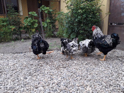 ‎duminică, ‎21 ‎aprilie ‎2024, ‏‎18:35:35