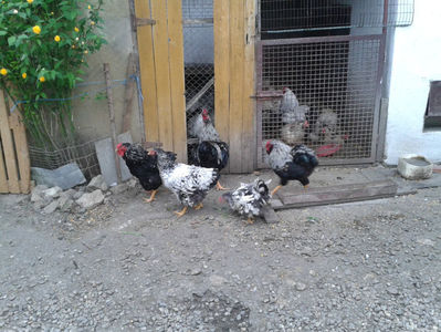 ‎duminică, ‎21 ‎aprilie ‎2024, ‏‎18:58:24; ‎duminică, ‎21 ‎aprilie ‎2024, ‏‎18:58:24
