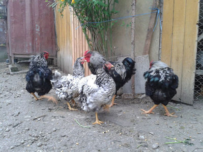 ‎duminică, ‎21 ‎aprilie ‎2024, ‏‎19:07:42; ‎duminică, ‎21 ‎aprilie ‎2024, ‏‎19:07:42
