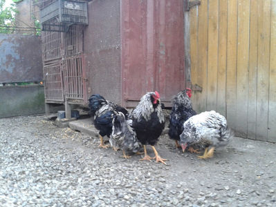 ‎duminică, ‎21 ‎aprilie ‎2024, ‏‎19:10:58; ‎duminică, ‎21 ‎aprilie ‎2024, ‏‎19:10:58
