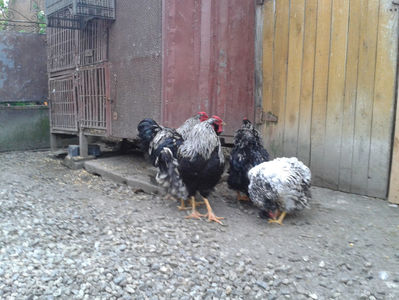 ‎duminică, ‎21 ‎aprilie ‎2024, ‏‎19:10:59; ‎duminică, ‎21 ‎aprilie ‎2024, ‏‎19:10:59
