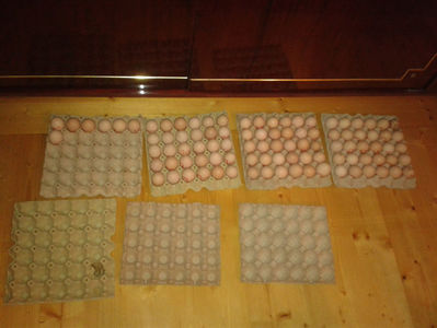 ‎luni, ‎1 ‎aprilie ‎2024, ‏‎17:45:31; ‎luni, ‎1 ‎aprilie ‎2024, ‏‎17:45:31
