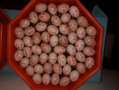 ‎luni, ‎1 ‎aprilie ‎2024, ‏‎23:24:12; ‎luni, ‎1 ‎aprilie ‎2024, ‏‎23:24:12

