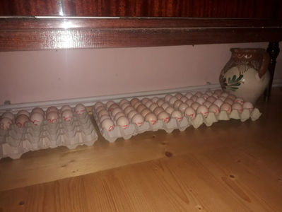 ‎miercuri, ‎1 ‎mai ‎2024, ‏‎18:42:43; ‎miercuri, ‎1 ‎mai ‎2024, ‏‎18:42:43
