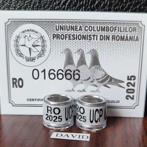2025 UCP+talon....-1,5 lei