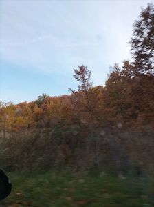 IMG20241101073721