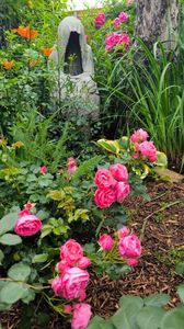 .trashed-1720034711-IMG_20240603_120416