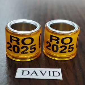 2025-galben amatori....-1 leu