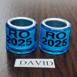 2025-albastru amatori....-1 leu