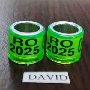 2025-verde amatori....-1 leu