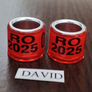2025-rosu amatori....-1 leu