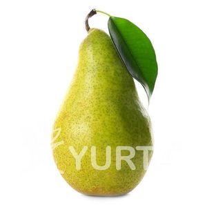 par cure; livada linistita
